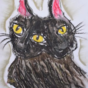Котешки живот